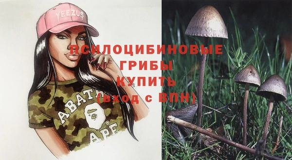 ECSTASY Беломорск