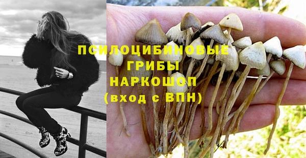 ECSTASY Беломорск