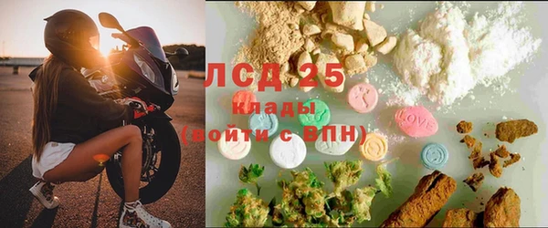ПСИЛОЦИБИНОВЫЕ ГРИБЫ Тавда